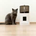 De nieuwste gadgets voor je huisdier (en welke het écht waard zijn) 28 De nieuwste gadgets voor je huisdier (en welke het écht waard zijn) 26