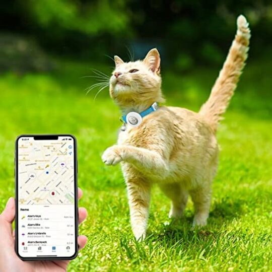 Altijd weten waar je kat is met de reflecterende kattenhalsband met Airtag-houder 20